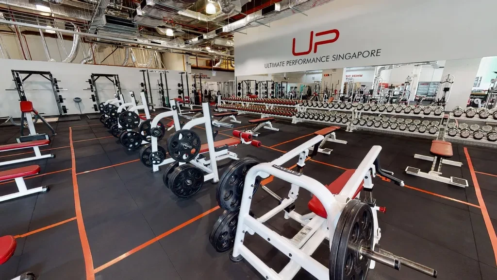 Ultimate Performance Singapore (U.P.)