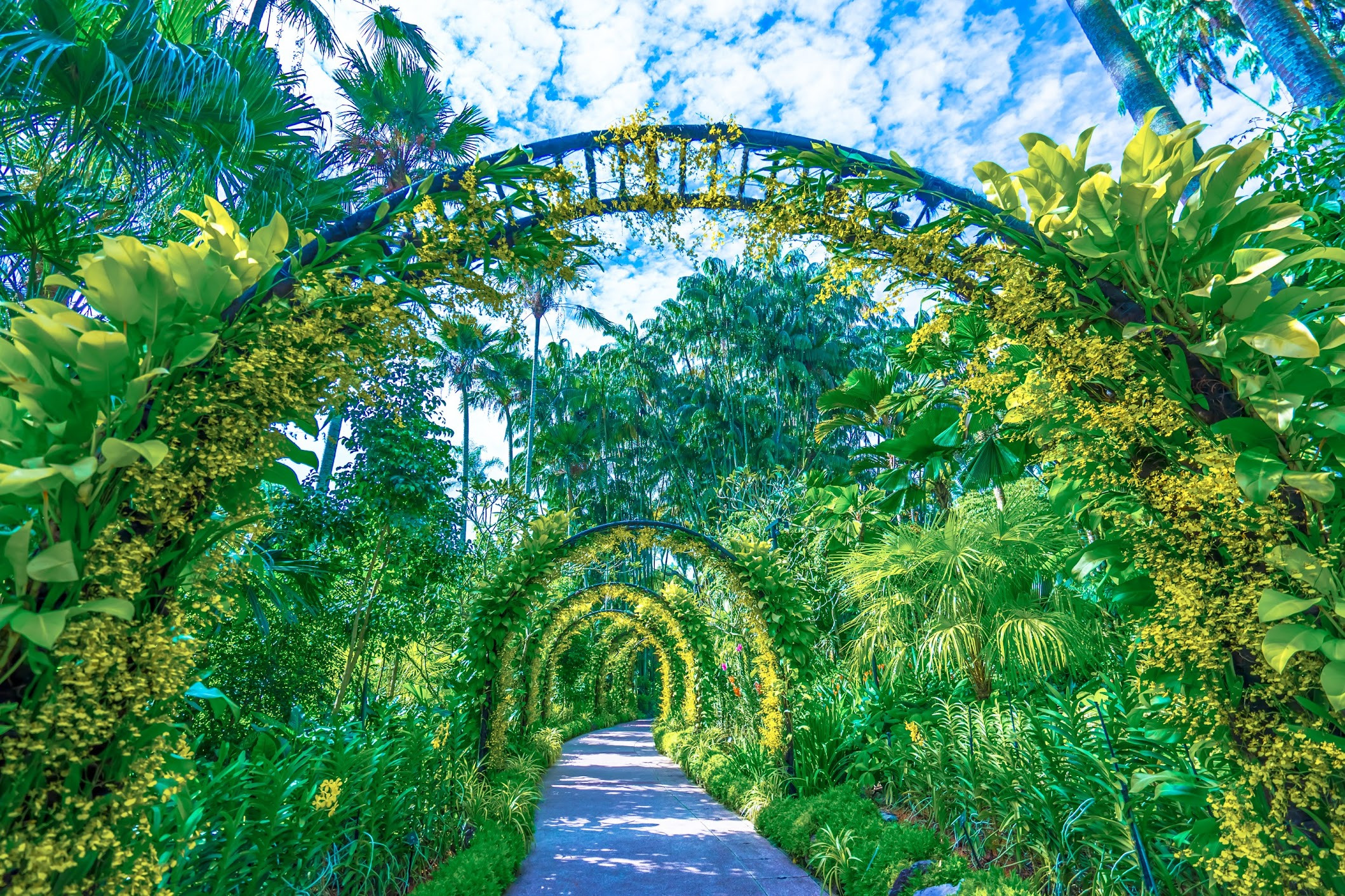 Singapore Botanic Gardens