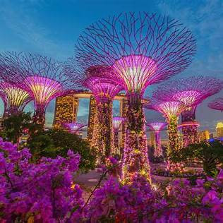 Gardens by the Bay