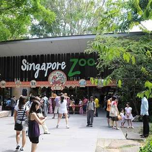 Singapore Zoo